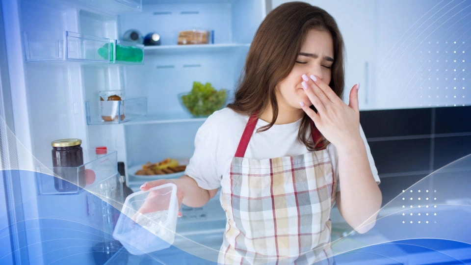 Most Common Signs of Fridge Condensation Problems